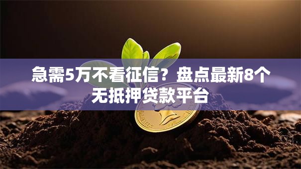 急需5万不看征信?盘点最新8个无抵押贷款平台 急需5万不看征信?盘点最新8个无抵押贷款平台