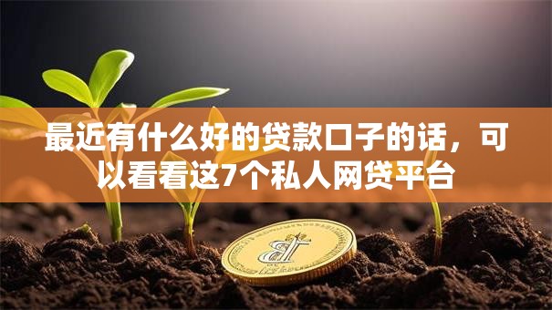 最近有什么好的贷款口子的话，可以看看这7个私人网贷平台