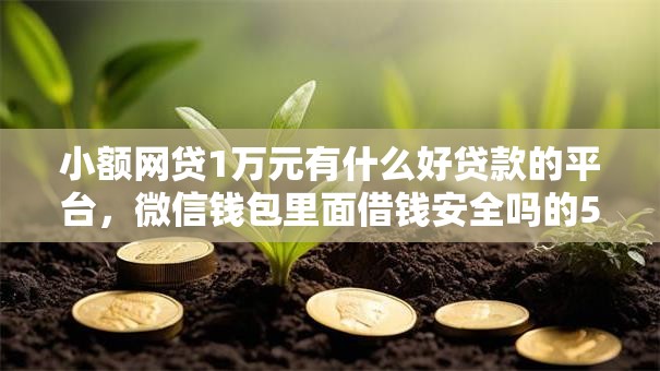 小额网贷1万元有什么好贷款的平台，微信钱包里面借钱安全吗的5个平台介绍