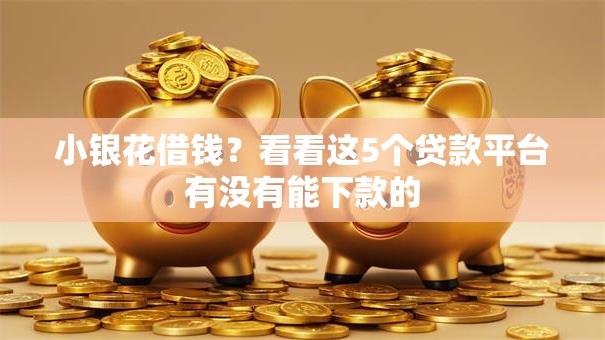 小银花借钱?看看这5个贷款平台有没有能下款的 小银花借钱?看看这5个贷款平台有没有能下款的