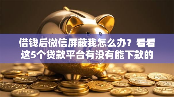 借钱后微信屏蔽我怎么办？看看这5个贷款平台有没有能下款的
