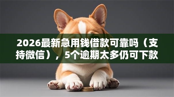 2026最新急用钱借款可靠吗（支持微信），5个逾期太多仍可下款的平台无私分享