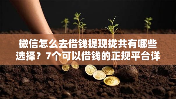 微信怎么去借钱提现拢共有哪些选择？7个可以借钱的正规平台详解