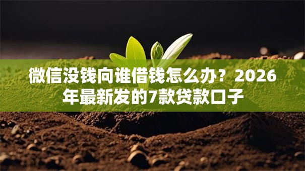 微信没钱向谁借钱怎么办？2026年最新发的7款贷款口子