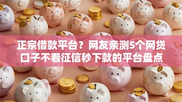 正宗借款平台？网友亲测5个网贷口子不看征信秒下款的平台盘点
