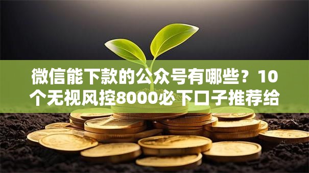 微信能下款的公众号有哪些？10个无视风控8000必下口子推荐给你