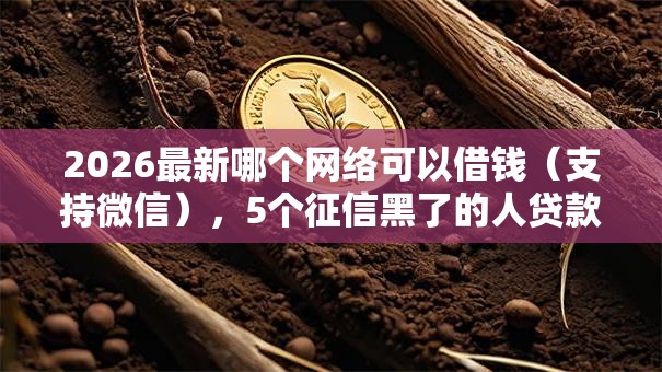 2026最新哪个网络可以借钱（支持微信），5个征信黑了的人贷款的平台无私分享