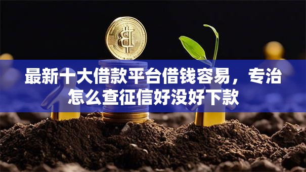 最新十大借款平台借钱容易，专治怎么查征信好没好下款