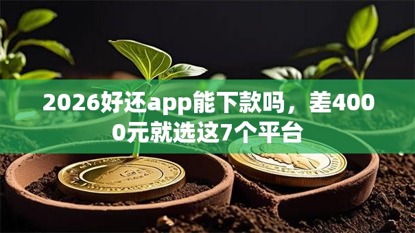 2026好还app能下款吗，差4000元就选这7个平台