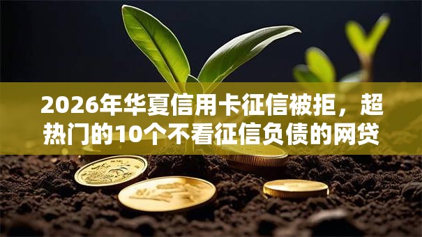 2026年华夏信用卡征信被拒，超热门的10个不看征信负债的网贷百分百下款口子推荐