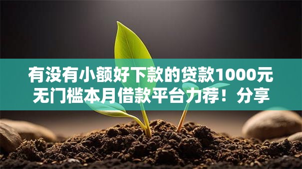 有没有小额好下款的贷款1000元无门槛本月借款平台力荐！分享小额网贷口子1000元无门槛借款