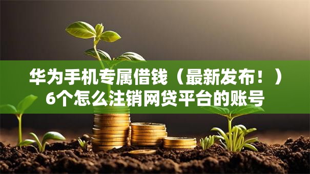 华为手机专属借钱（最新发布！）6个怎么注销网贷平台的账号