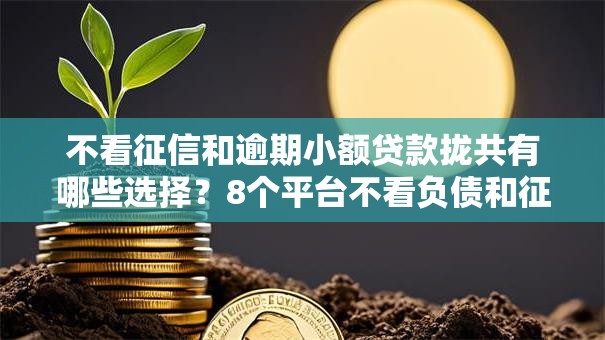 不看征信和逾期小额贷款拢共有哪些选择？8个平台不看负债和征信可以借到钱详解