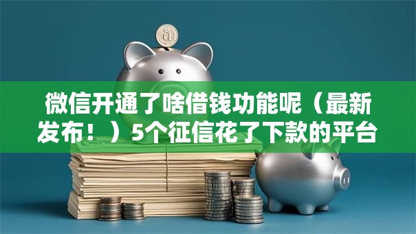 微信开通了啥借钱功能呢（最新发布！）5个征信花了下款的平台
