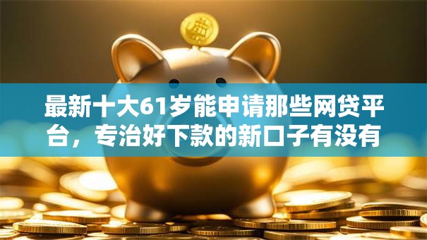 最新十大61岁能申请那些网贷平台，专治好下款的新口子有没有