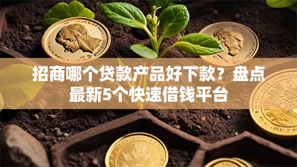 招商哪个贷款产品好下款？盘点最新5个快速借钱平台