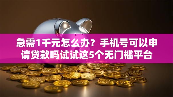 急需1千元怎么办？手机号可以申请贷款吗试试这5个无门槛平台