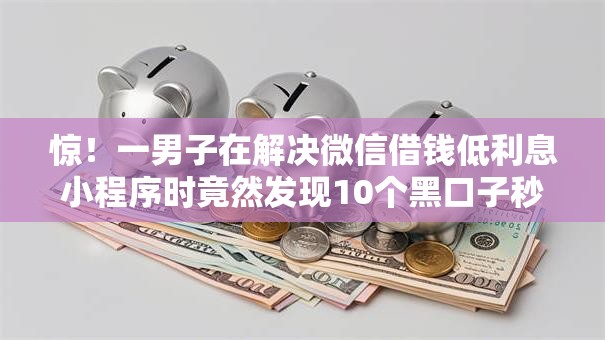 惊！一男子在解决微信借钱低利息小程序时竟然发现10个黑口子秒下款2025，事后分享了出来