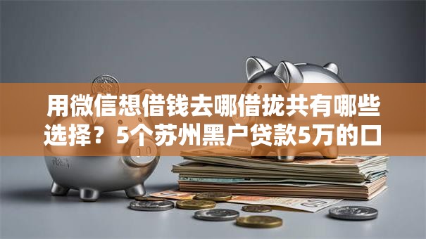 用微信想借钱去哪借拢共有哪些选择？5个苏州黑户贷款5万的口子详解