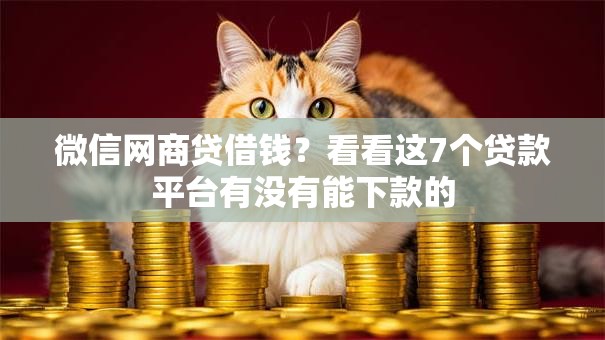 微信网商贷借钱？看看这7个贷款平台有没有能下款的
