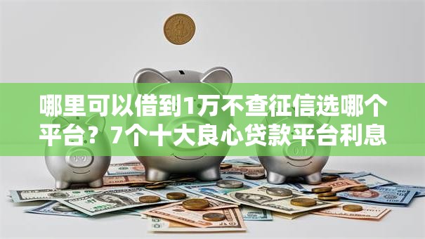 哪里可以借到1万不查征信选哪个平台？7个十大良心贷款平台利息低推荐