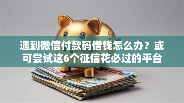 遇到微信付款码借钱怎么办？或可尝试这6个征信花必过的平台