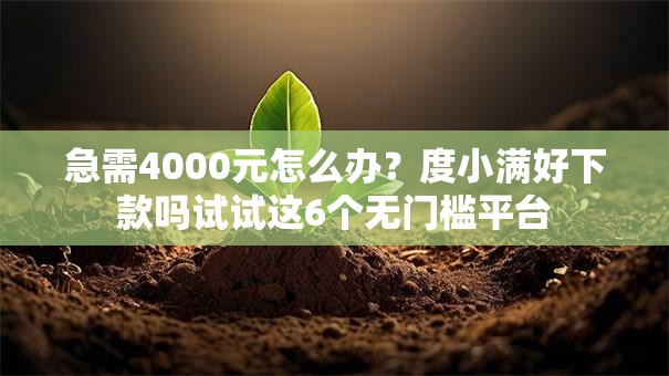 急需4000元怎么办?度小满好下款吗试试这6个无门槛平台 急需4000元怎么办?度小满好下款吗试试这6个无门槛平台