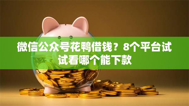 微信公众号花鸭借钱？8个平台试试看哪个能下款