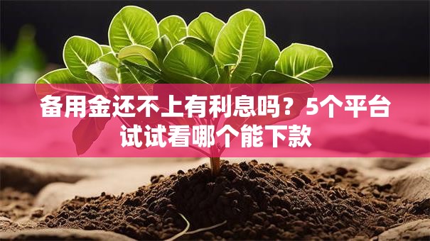 备用金还不上有利息吗？5个平台试试看哪个能下款