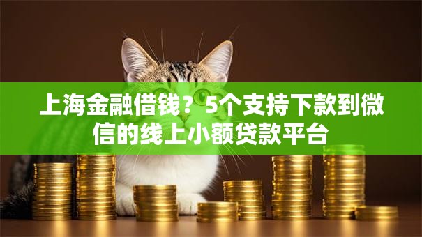 上海金融借钱？5个支持下款到微信的线上小额贷款平台