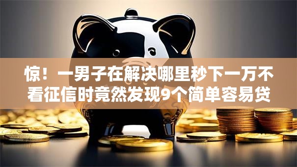 惊！一男子在解决哪里秒下一万不看征信时竟然发现9个简单容易贷款平台，事后分享了出来