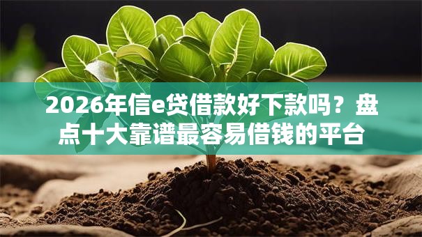 2026年信e贷借款好下款吗？盘点十大靠谱最容易借钱的平台