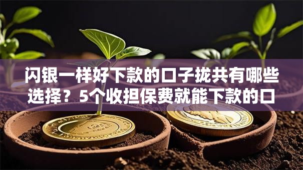 闪银一样好下款的口子拢共有哪些选择？5个收担保费就能下款的口子详解
