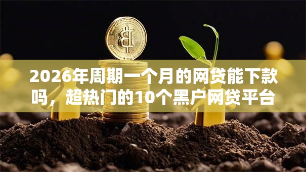 2026年周期一个月的网贷能下款吗，超热门的10个黑户网贷平台秒下款简单推荐