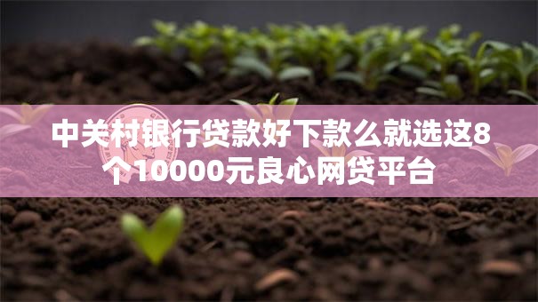 中关村银行贷款好下款么就选这8个10000元良心网贷平台