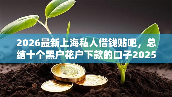 2026最新上海私人借钱贴吧，总结十个黑户花户下款的口子2025！