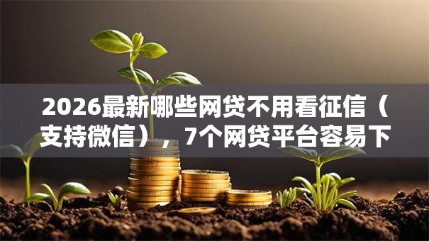 2026最新哪些网贷不用看征信（支持微信），7个网贷平台容易下款无私分享