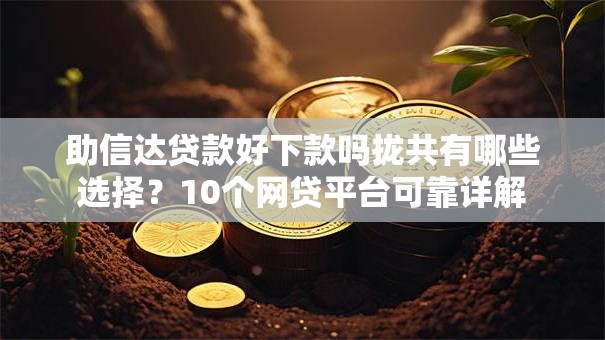 助信达贷款好下款吗拢共有哪些选择？10个网贷平台可靠详解