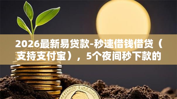 2026最新易贷款-秒速借钱借贷（支持支付宝），5个夜间秒下款的14天口子无私分享