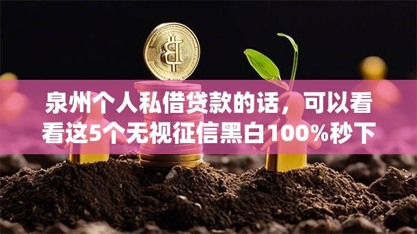泉州个人私借贷款的话，可以看看这5个无视征信黑白100%秒下网贷app