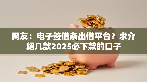 网友：电子签借条出借平台？求介绍几款2025必下款的口子