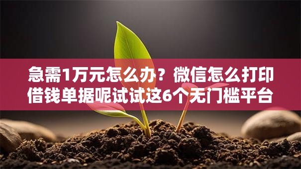 急需1万元怎么办？微信怎么打印借钱单据呢试试这6个无门槛平台