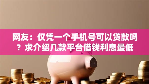 网友：仅凭一个手机号可以贷款吗？求介绍几款平台借钱利息最低