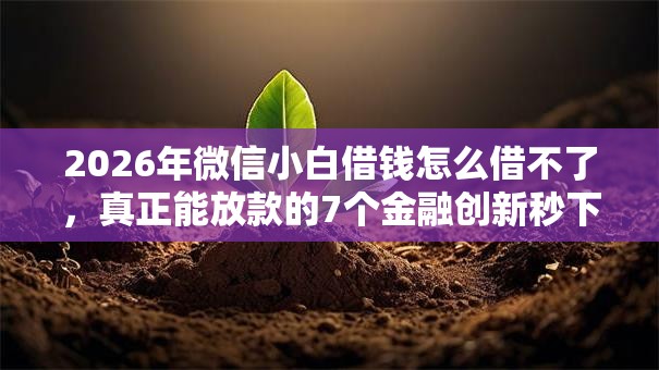 2026年微信小白借钱怎么借不了,真正能放款的7个金融创新秒下不要芝麻分的软件推荐 2026年微信小白借钱怎么借不了,真正能放款的7个金融创新秒下不要芝麻分的软件推荐