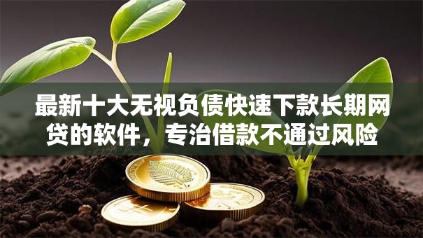 最新十大无视负债快速下款长期网贷的软件，专治借款不通过风险评估
