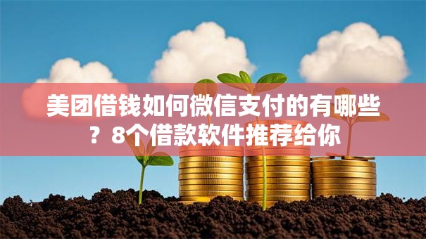 美团借钱如何微信支付的有哪些？8个借款软件推荐给你