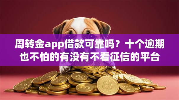 周转金app借款可靠吗？十个逾期也不怕的有没有不看征信的平台借钱