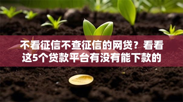 不看征信不查征信的网贷？看看这5个贷款平台有没有能下款的