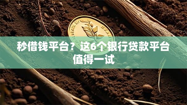 秒借钱平台？这6个银行贷款平台值得一试