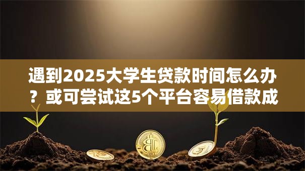 遇到2025大学生贷款时间怎么办？或可尝试这5个平台容易借款成功